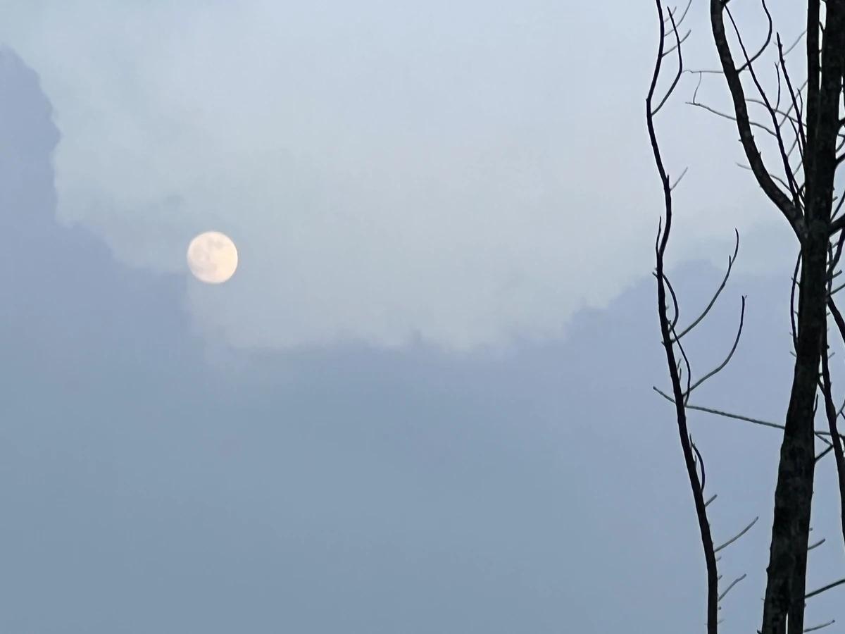 團圓之後，上山賞月